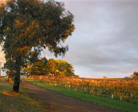Sir Paz Estate - Accommodation Coffs Harbour 3