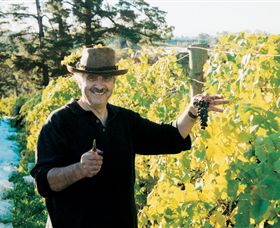 Sir Paz Estate - Accommodation Coffs Harbour 1