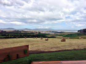 The Hazards Vineyard - Devil's Corner - Accommodation Coffs Harbour 0