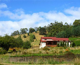 St Imre Vineyard - Accommodation Coffs Harbour 0