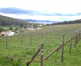 St Imre Vineyard - Accommodation Coffs Harbour 1