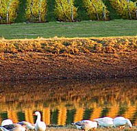 Pipers Brook Vineyard - Accommodation Coffs Harbour