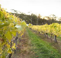 Harcourt Valley Vineyards - Accommodation Coffs Harbour