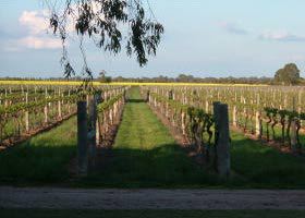 Bridgewater On Loddon VIC Accommodation Coffs Harbour