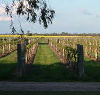 Water Wheel Vineyards - Accommodation Coffs Harbour