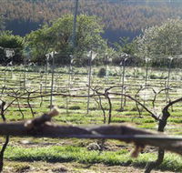 Three Willows Vineyard - Accommodation Coffs Harbour
