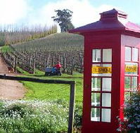 Dalrymple Vineyards - Accommodation Coffs Harbour