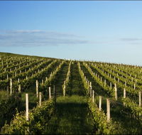Delamere Vineyard - Accommodation Coffs Harbour