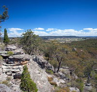 Munghorn Gap Nature Reserve - Accommodation Coffs Harbour