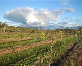 Flyfaire Wines - Accommodation Coffs Harbour 7