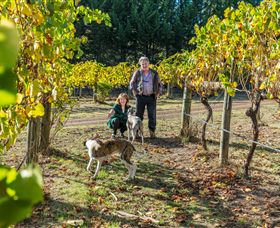 Little River Wines Of Taggerty - Accommodation Coffs Harbour 0
