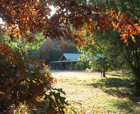 Little River Wines Of Taggerty - Accommodation Coffs Harbour 4