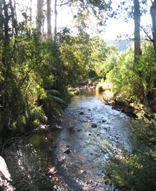 Little River Wines Of Taggerty - Accommodation Coffs Harbour 5