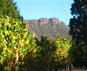 Little River Wines Of Taggerty - Accommodation Coffs Harbour 6