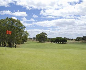 Curlewis Golf Club - Accommodation Coffs Harbour 1