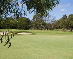Curlewis Golf Club - Accommodation Coffs Harbour 0