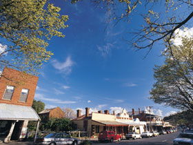 Drysdale Cheeses - Accommodation Coffs Harbour 1