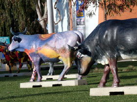Drysdale Cheeses - Accommodation Coffs Harbour 6