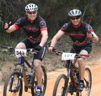Trailhead Bike Co. - Accommodation Coffs Harbour