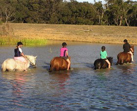 Bellarine Horse Riding Centre - Accommodation Coffs Harbour 2