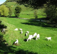 Karmic Goat Soapworks - Accommodation Coffs Harbour