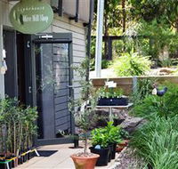 The Lighthouse Olive Mill Shop - Accommodation Coffs Harbour