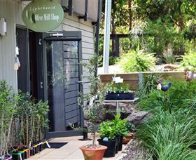 The Lighthouse Olive Mill Shop - Accommodation Coffs Harbour 0