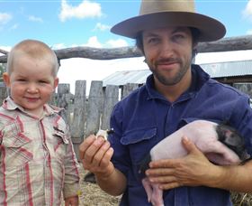 Gleneden Organic Farm And The Gleneden Bullock Team - Accommodation Coffs Harbour 2