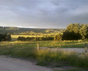 Gleneden Organic Farm And The Gleneden Bullock Team - Accommodation Coffs Harbour 0