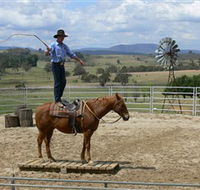 Boggy Creek Shows - Accommodation Coffs Harbour