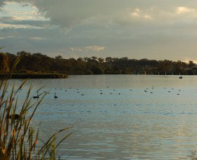 Lake Inverell Reserve - Accommodation Coffs Harbour 0