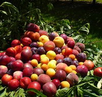 Rayner's Orchard - Accommodation Coffs Harbour