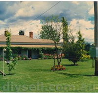 Tumut Valley Violets - Accommodation Coffs Harbour