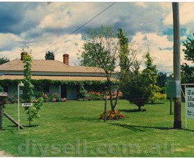 Tumut Valley Violets - Accommodation Coffs Harbour 0