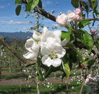 Mouat's Farm - Accommodation Coffs Harbour