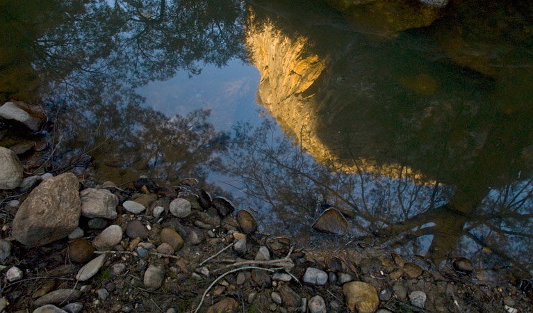 Abercrombie River NSW Accommodation Coffs Harbour