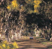 Albert Facey Heritage Trail - Accommodation Coffs Harbour