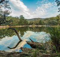 Warrabah National Park - Accommodation Coffs Harbour