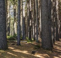 Sugarpine Walk - Accommodation Coffs Harbour