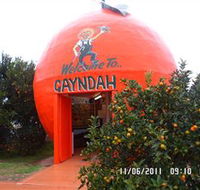 Gayndahs Big Orange - Accommodation Coffs Harbour