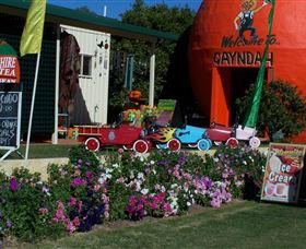 Gayndahs Big Orange - Accommodation Coffs Harbour 1