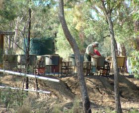 7 Oaks Sapphire Fossicking - Accommodation Coffs Harbour 0