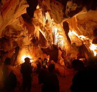 Careys Cave - Accommodation Coffs Harbour