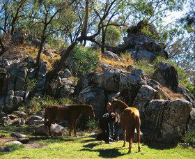 Coomba Falls - Accommodation Coffs Harbour 0