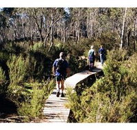 Hume and Hovell Walking Track - Henry Angel Trackhead - Accommodation Coffs Harbour