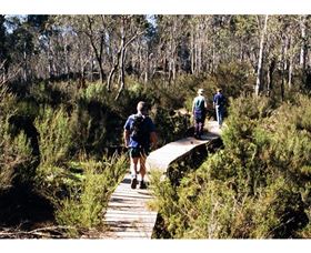 Hume And Hovell Walking Track - Henry Angel Trackhead - Accommodation Coffs Harbour 0