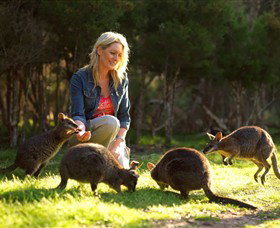 Pearcedale VIC Accommodation Coffs Harbour