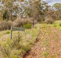 Old Mountain Road Walking Track - Accommodation Coffs Harbour