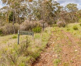 Old Mountain Road Walking Track - Accommodation Coffs Harbour 0
