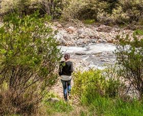 Old Mountain Road Walking Track - Accommodation Coffs Harbour 1